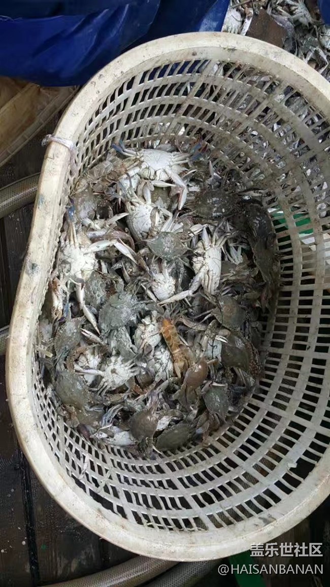 【國慶游記分享】