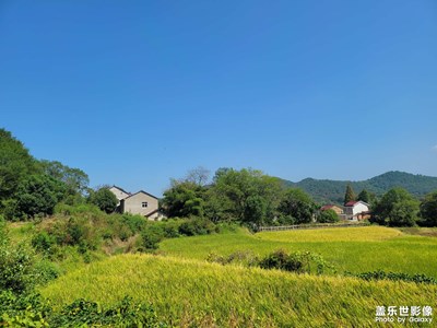 【我的假期生活】 鄉(xiāng)下風(fēng)景