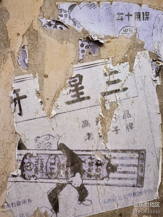 《丟失的3號(hào)密碼本……》 《丟失的3號(hào)密碼本……》