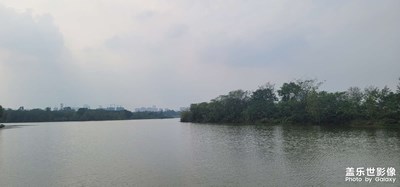 湖邊景色