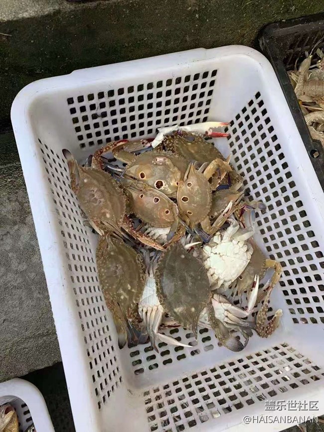 【國慶游記分享】