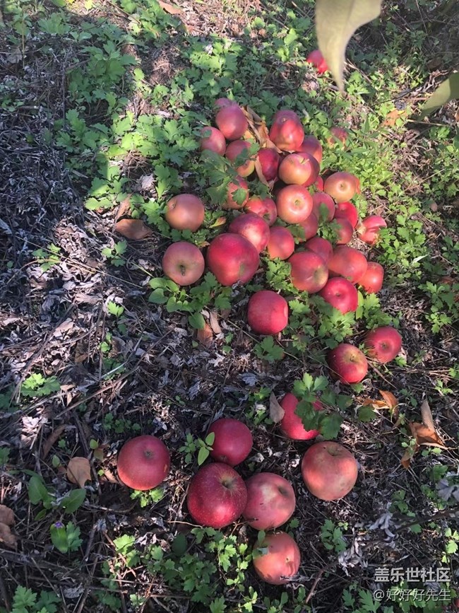 【心中的紅色】+親近自然