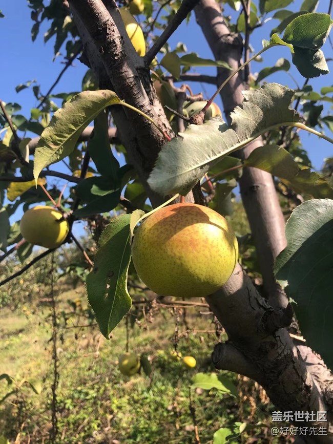 【心中的紅色】+親近自然