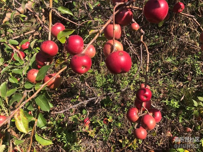 【心中的紅色】+親近自然