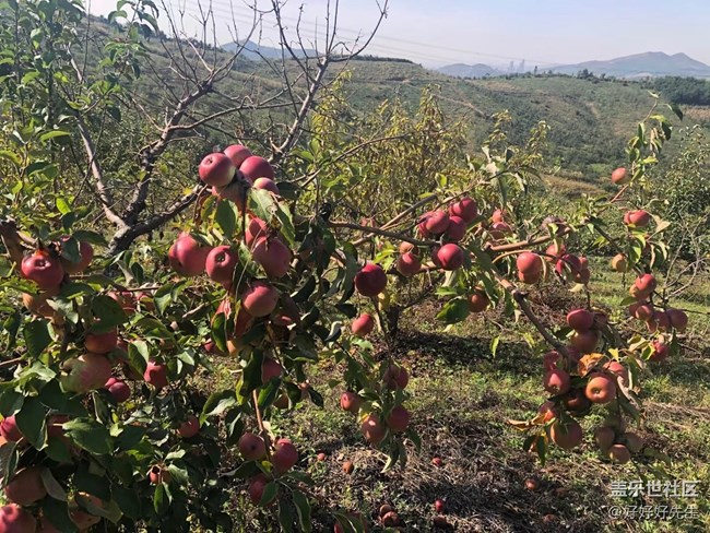 【心中的紅色】+親近自然