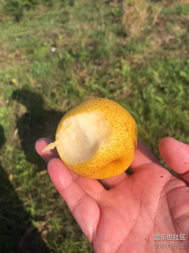 【心中的紅色】+親近自然