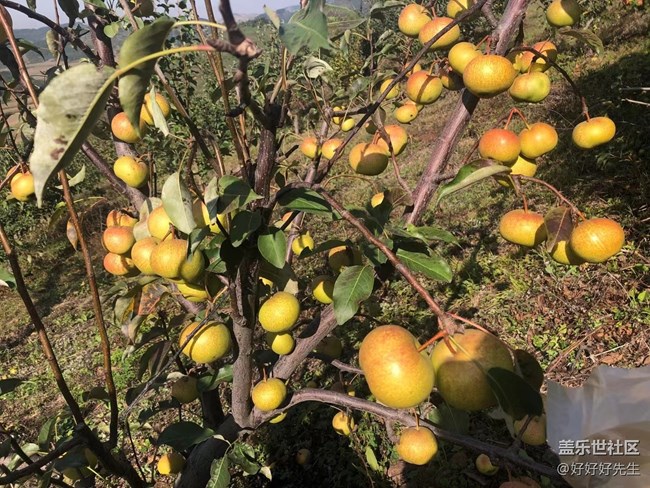 【心中的紅色】+親近自然