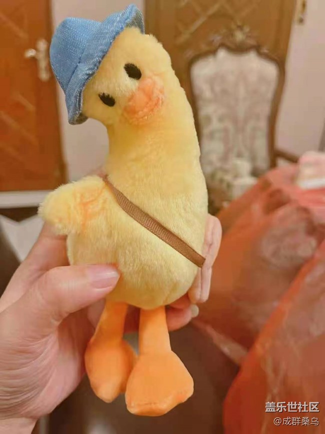 【舌尖上的十一】