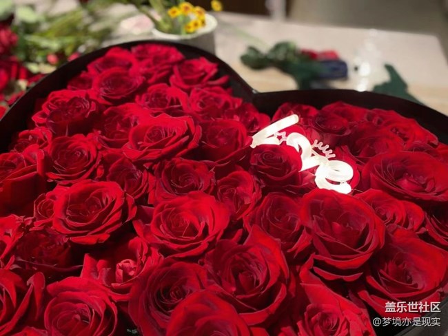【心中的红色】+红色的花和美丽的她