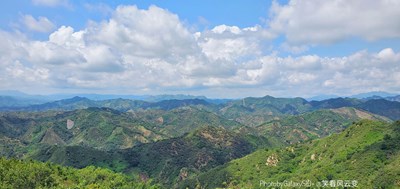 【影像從心】+   山行