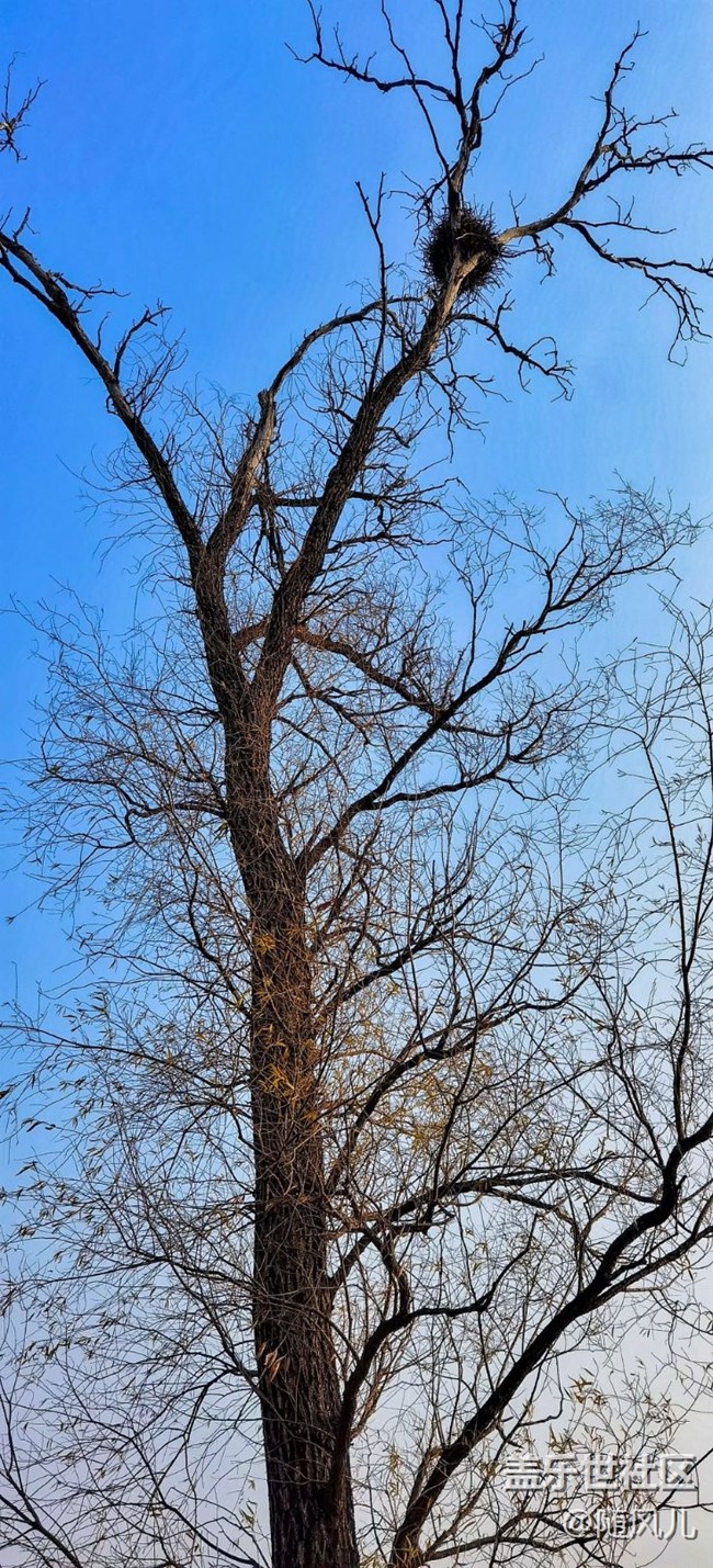 【心中的紅色】十一假期所見(jiàn)所拍