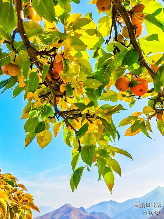 【心中的紅色】十一假期所見(jiàn)所拍