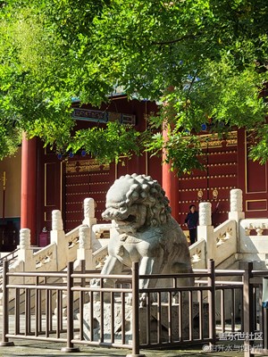 【我的假期生活】+古建