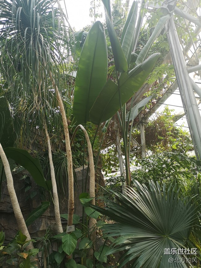 國慶游記分享---植物園