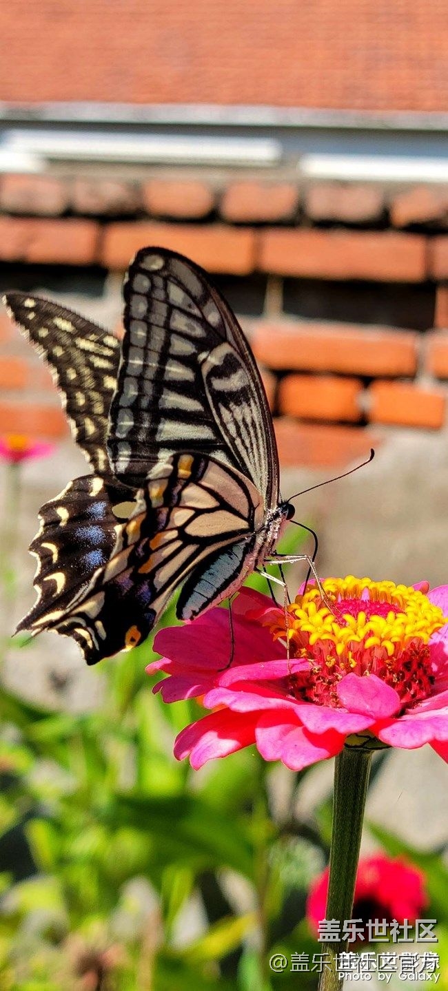 《每周星鮮事》 第82期:Galaxy Watch4系列評(píng)測(cè)招募 《每周星鮮事》 第82期:Galaxy Watch4系列評(píng)測(cè)招募