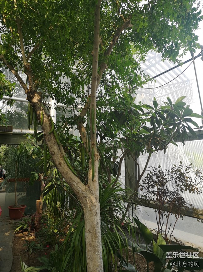 國慶游記分享---植物園