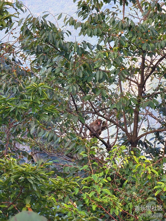 【國慶游記分享】張家界天門山之旅