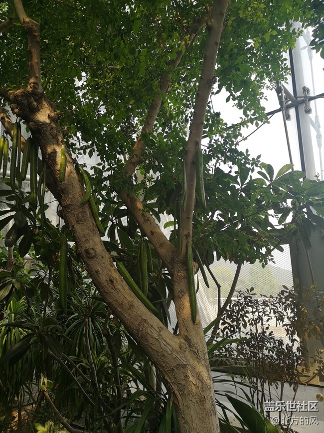 國慶游記分享---植物園