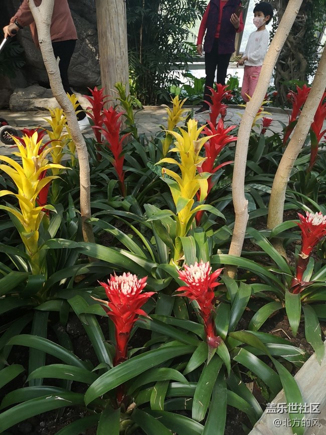 國慶游記分享---植物園