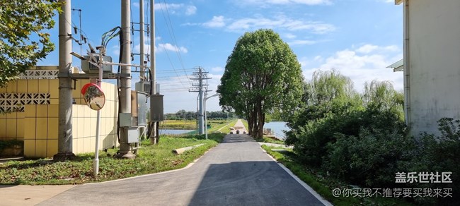 【S21Ultra圖賞】獨(dú)立不盲從