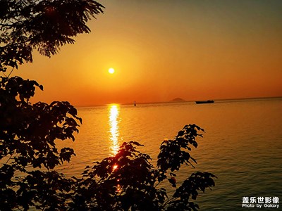 夕陽醉了