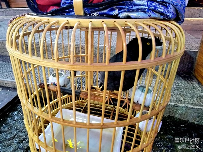【國慶游記分享】溪布街