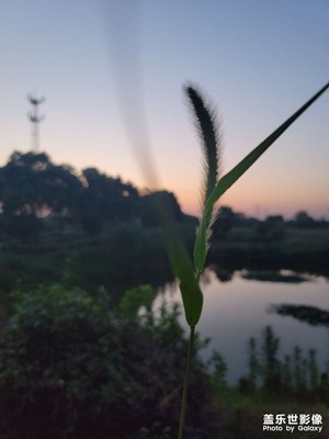 三星拍照還是??