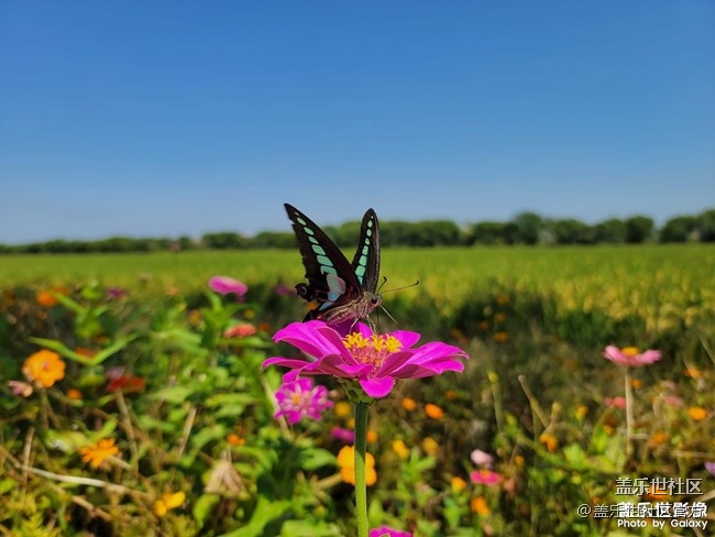 《每周星鮮事》 第83期:三星W22 5G全款預(yù)訂開(kāi)啟