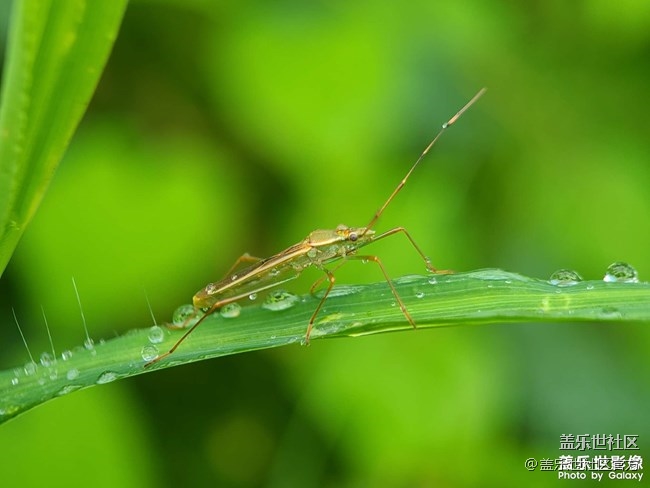 《每周星鮮事》 第83期:三星W22 5G全款預(yù)訂開(kāi)啟