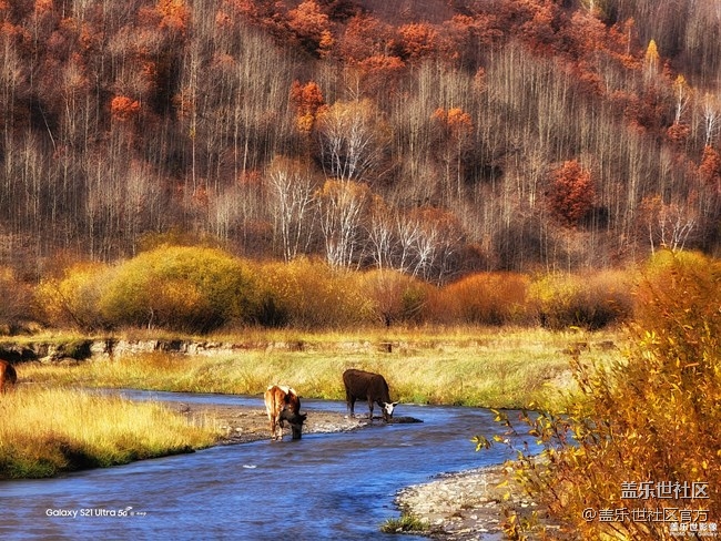 《每周星鮮事》 第83期:三星W22 5G全款預(yù)訂開(kāi)啟