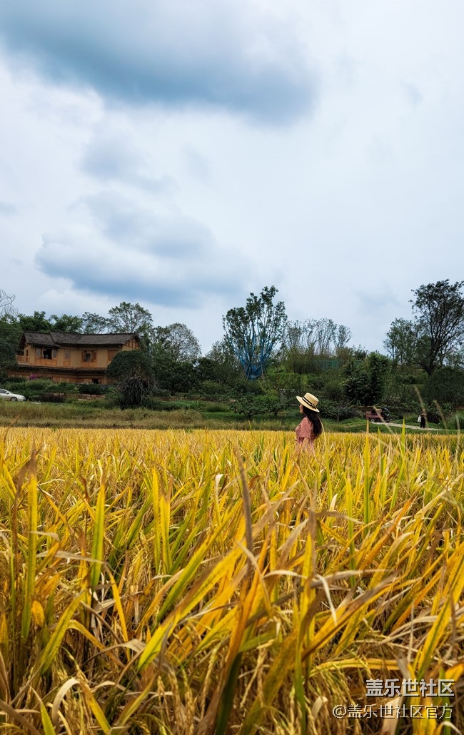 《每周星鮮事》 第83期:三星W22 5G全款預(yù)訂開(kāi)啟