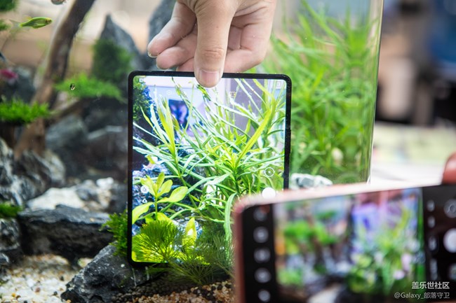 Galaxy Z Fold3|Flip3 5G品鑒會廣州站圓滿結(jié)束