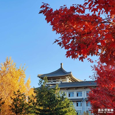 畢業(yè)前最后一個(gè)秋天