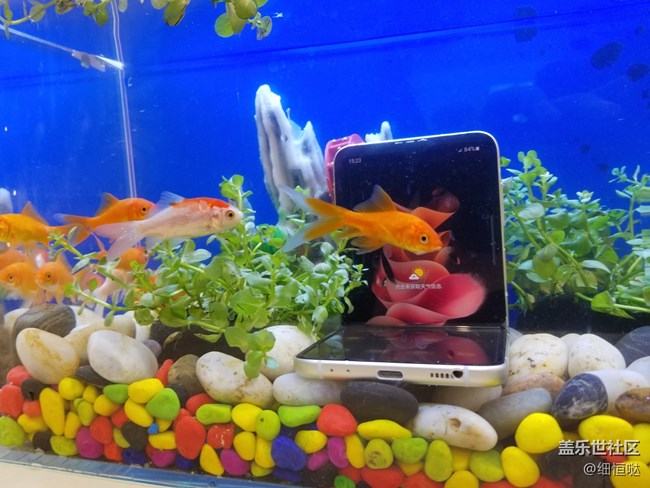 三星蓋樂世社區(qū)Z Fold 3 Flip3官方品鑒會(huì)——濟(jì)南站活動(dòng)回顧