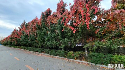 秋日校園