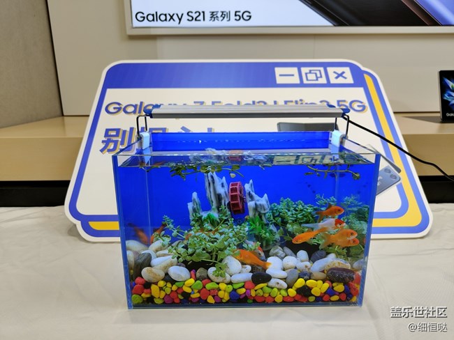 三星蓋樂世社區(qū)Z Fold 3 Flip3官方品鑒會(huì)——濟(jì)南站活動(dòng)回顧