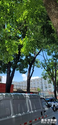 這圖怎么樣哈哈，隨拍