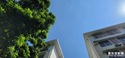 我這圖片拍得怎么樣？