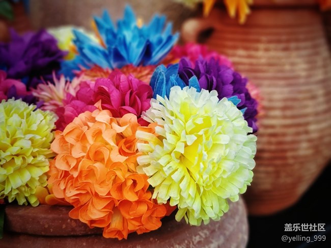 #假日隨拍——快樂的時(shí)光