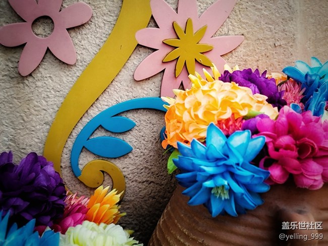 #假日隨拍——快樂的時(shí)光