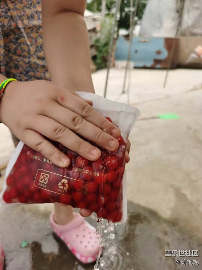 【心中的紅色】紅色水果們