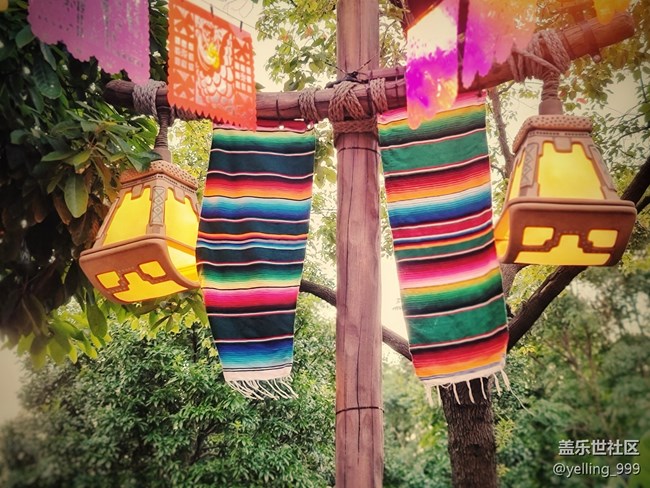 #假日隨拍——快樂的時(shí)光