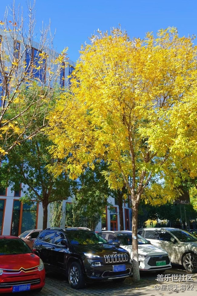 #假日隨拍——秋色