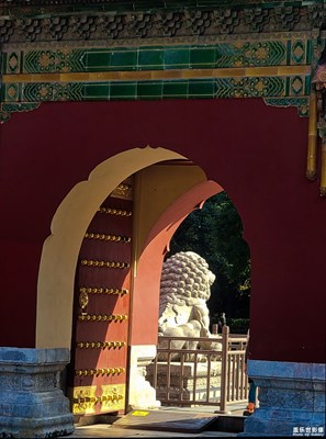 已開(kāi)獎(jiǎng)【蓋樂(lè)世影像周賽第213期】——nice day