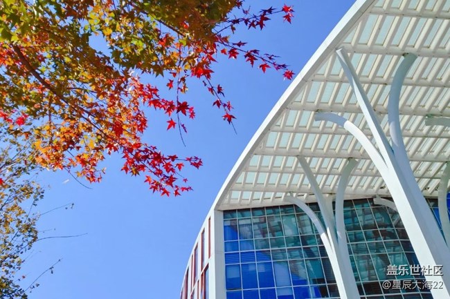 #假日隨拍——秋色