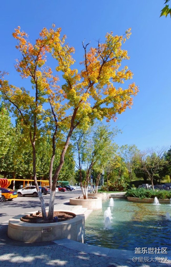 #假日隨拍——秋色