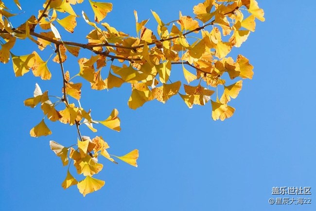 #假日隨拍——秋色