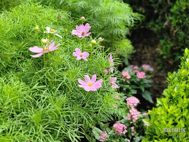 #假日隨拍——假日好心情