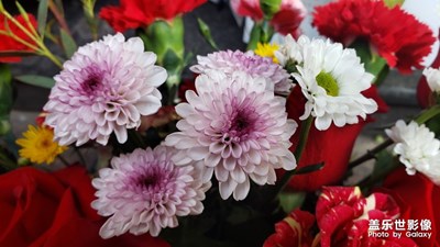 【形影不離】+美無處不在（二）