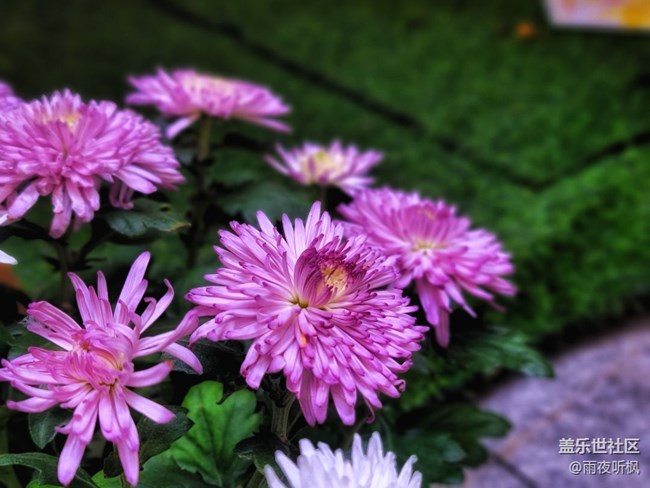 #假日隨拍——商場隨拍